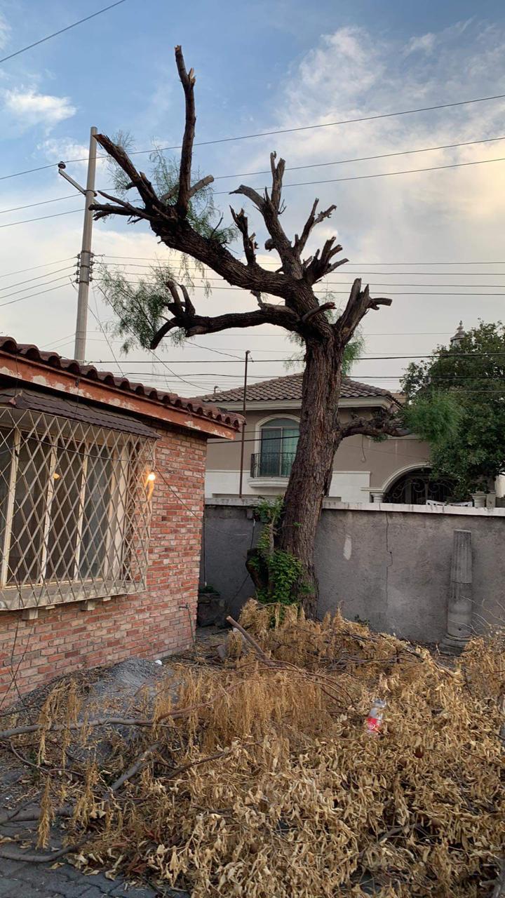 Casa Anáhuac. Antes · Vegetación acumulada en el exterior.