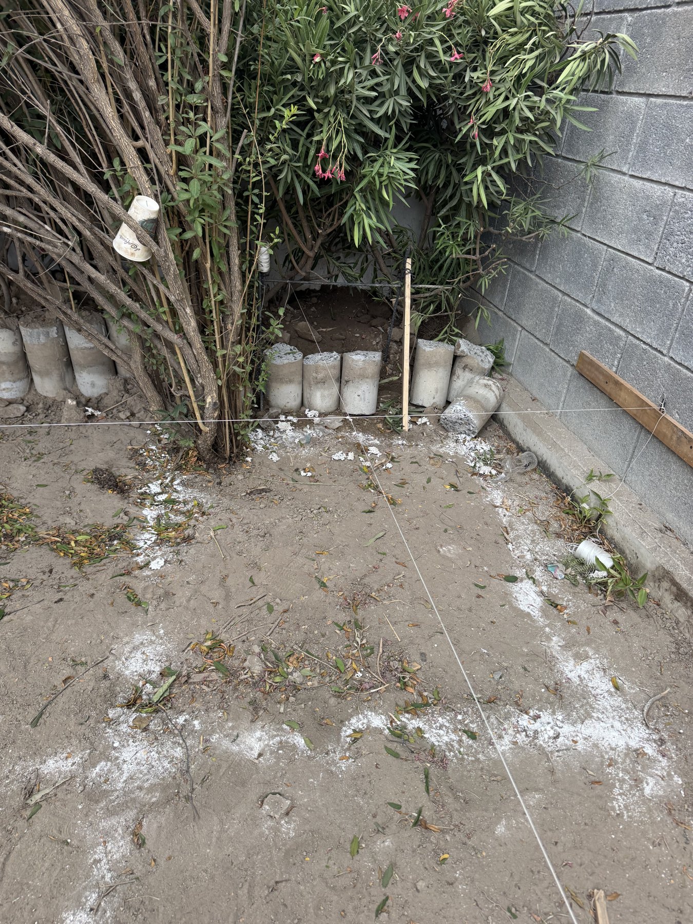 Referencias sobre el terreno. Hilos y marcas para señalar el área de trabajo. 30 sep. 2026. Fotografía.